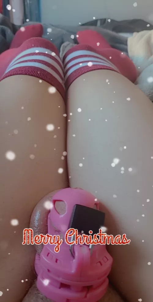 A Locked Christmas!!! 🎄🎄 A Locked Christmas!!! 🎄🎄