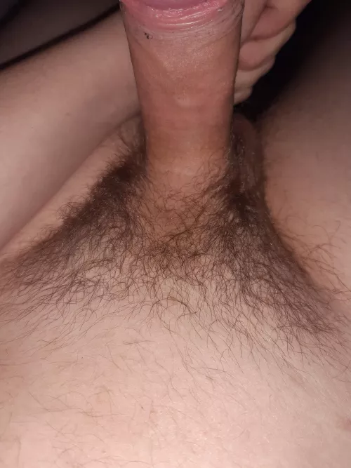 A month of growth since i decided to stop shaving