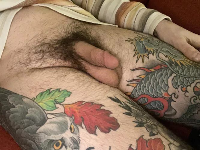 A nest of pubes