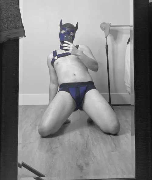 A new pup’s in town, what do you think?