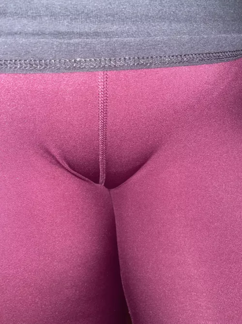 A perfect and juicy cameltoe! 