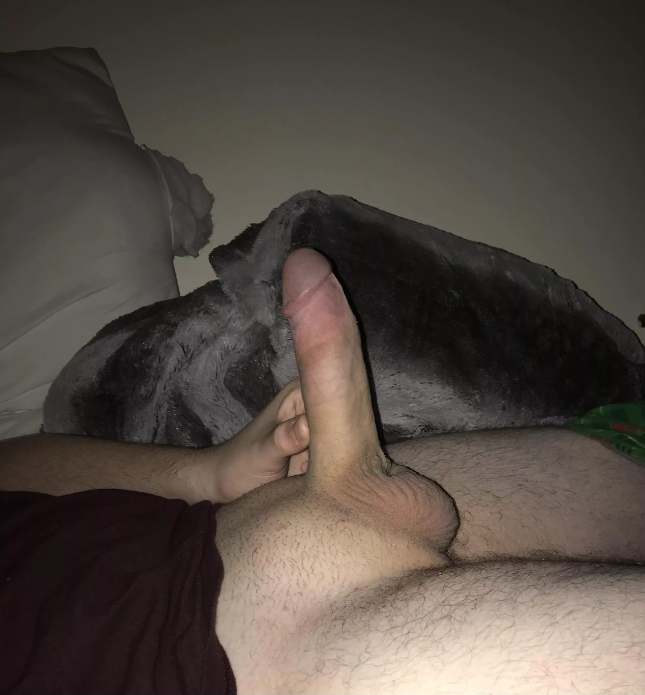 A pic I took last night A pic I took last night