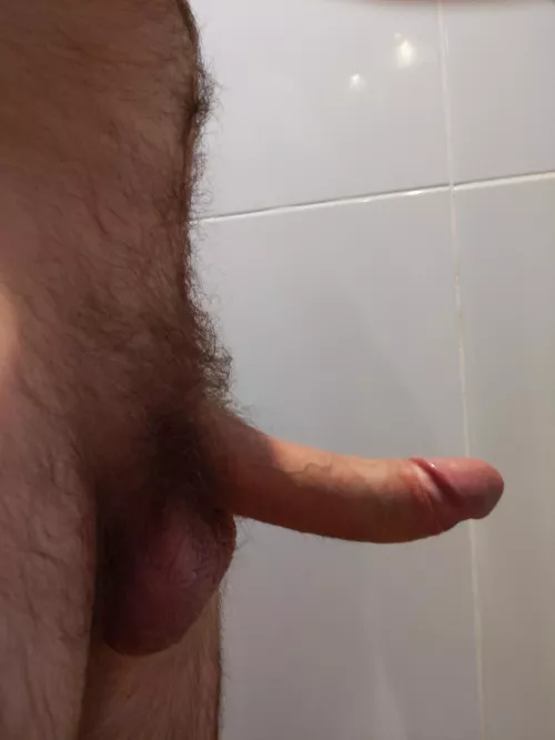 A side view of my growing bush