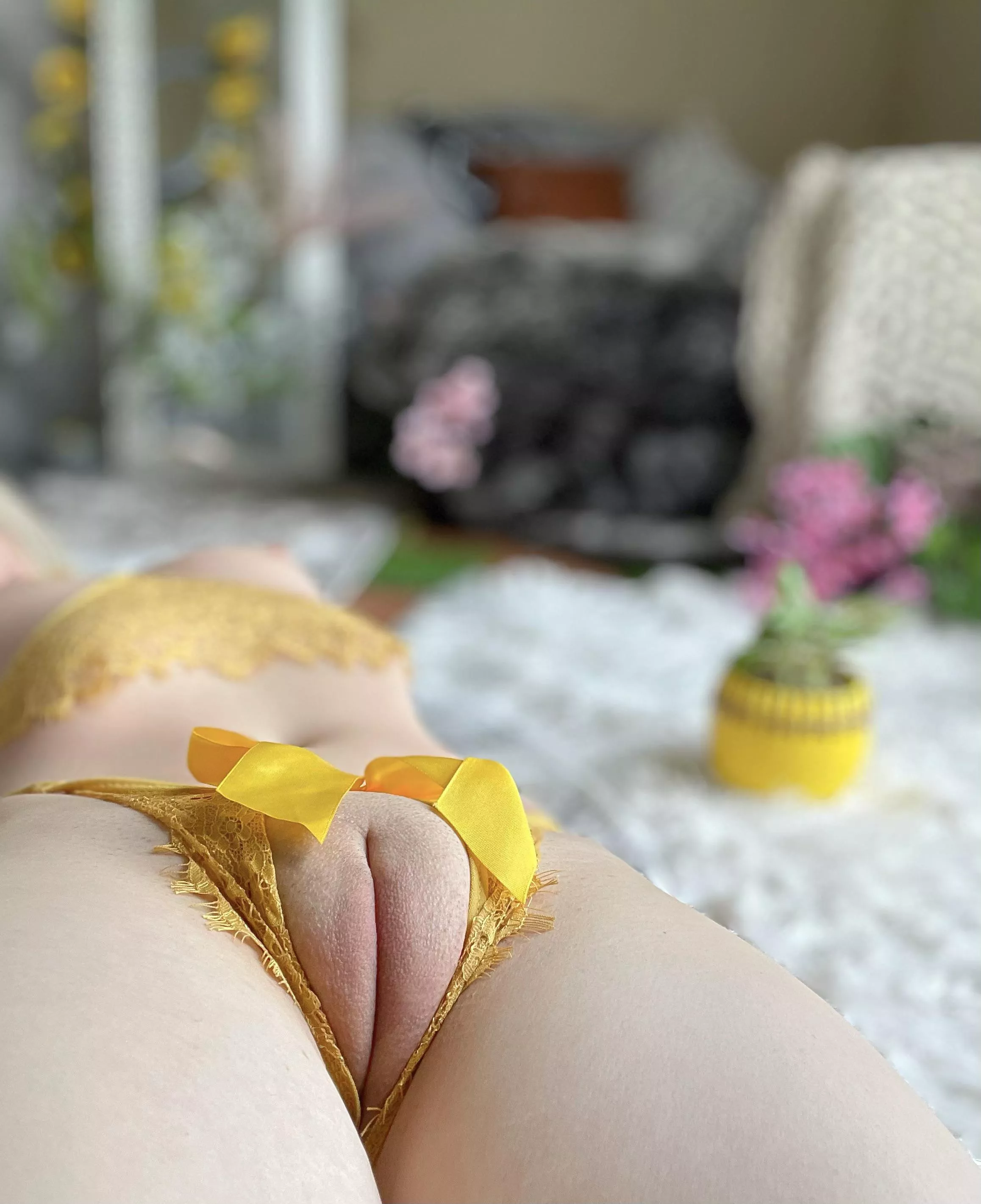 A snack you should try