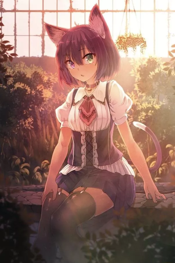 a sweet catgirl a sweet catgirl