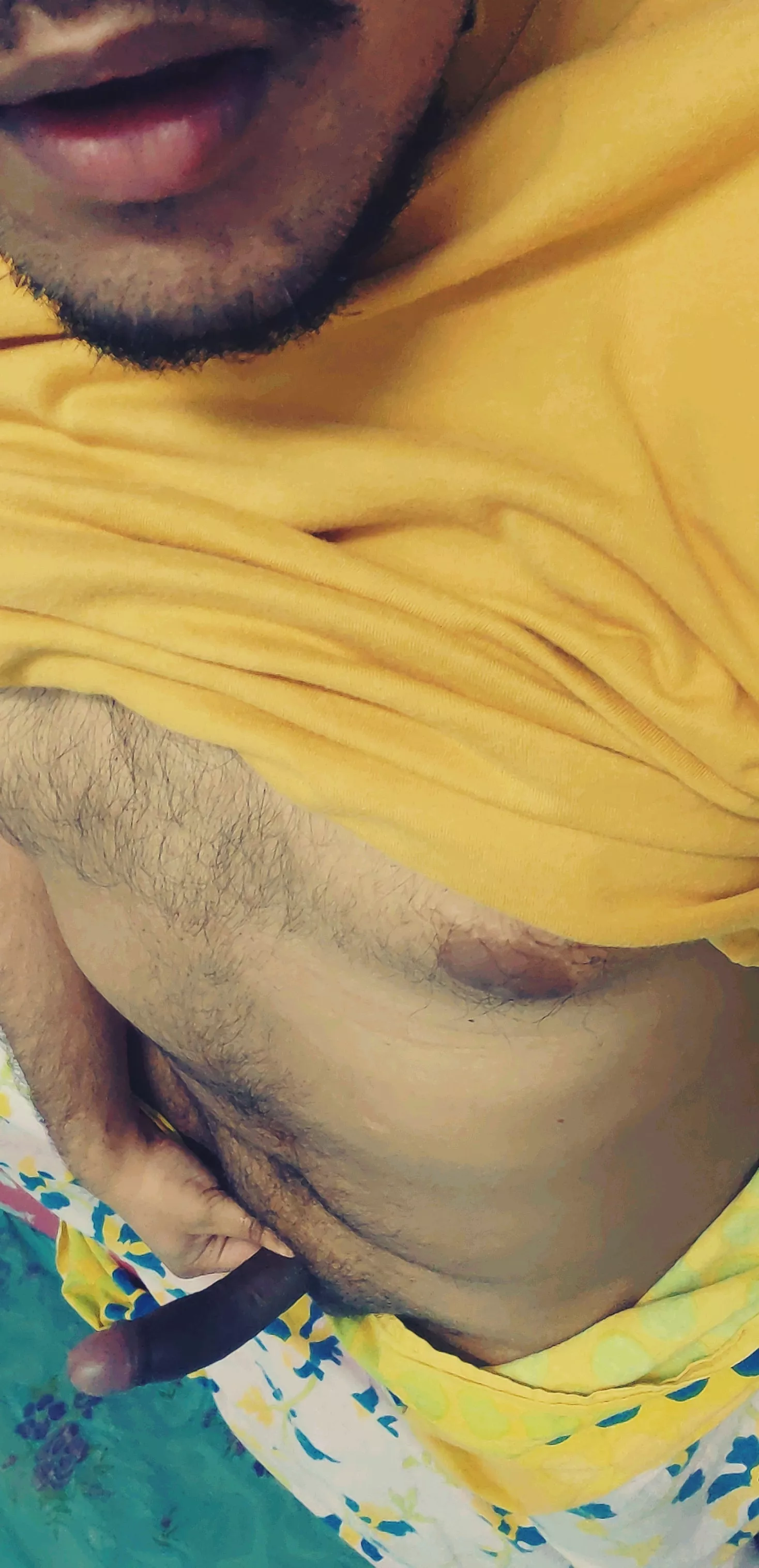 A very happy new year from this indian bear! A very happy new year from this indian bear!