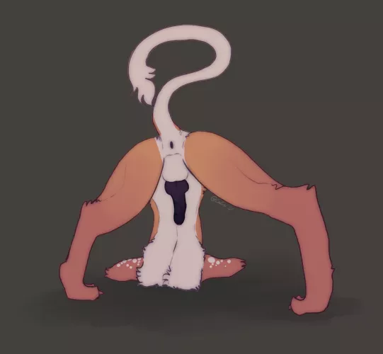 A Very, Very, Very Late Jack-O-Pose (Calisi) A Very, Very, Very Late Jack-O-Pose (Calisi)