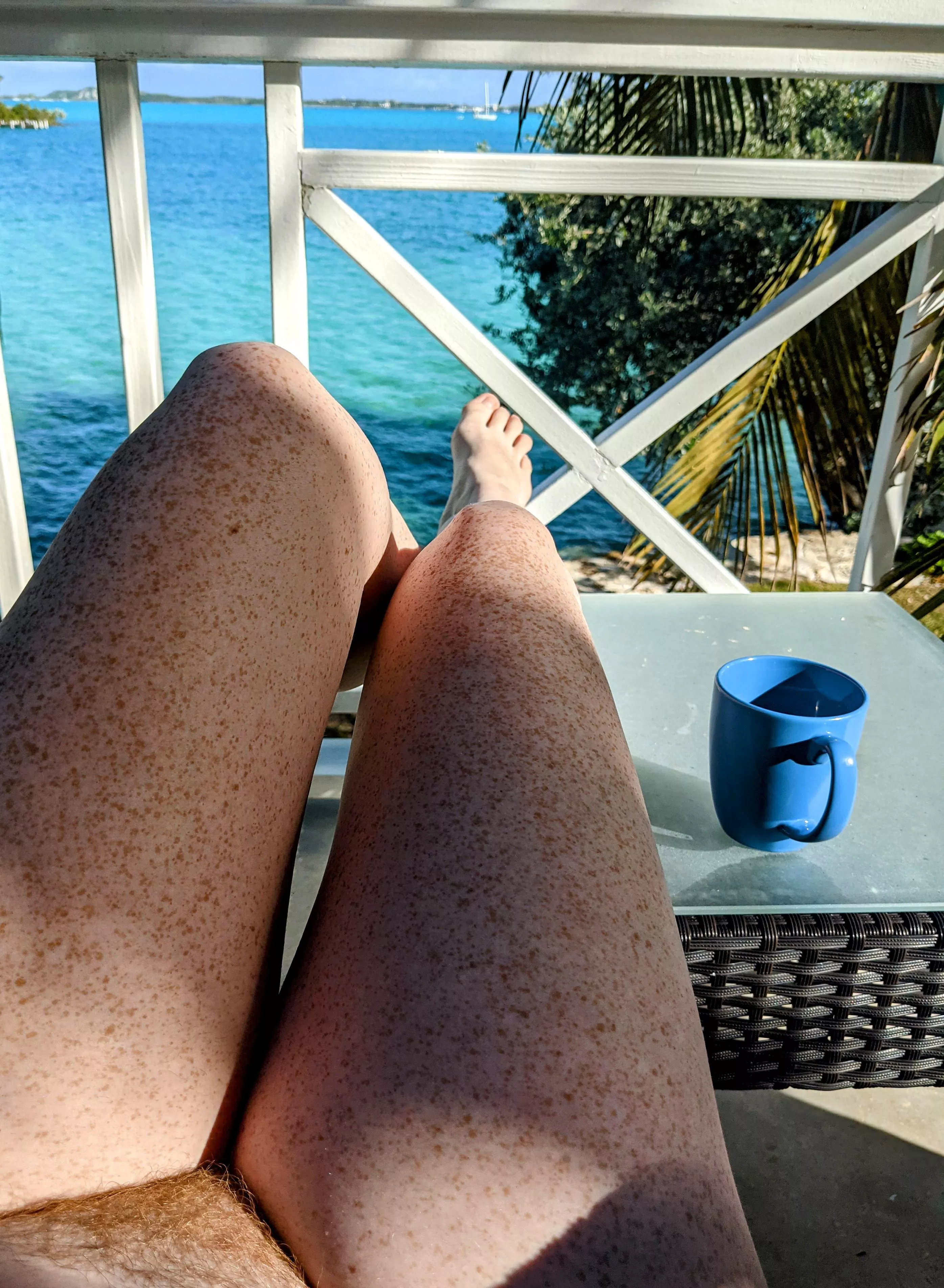 A winter refresh vacation for the leg frex. Keeping them bold all year. π A winter refresh vacation for the leg frex. Keeping them bold all year. π