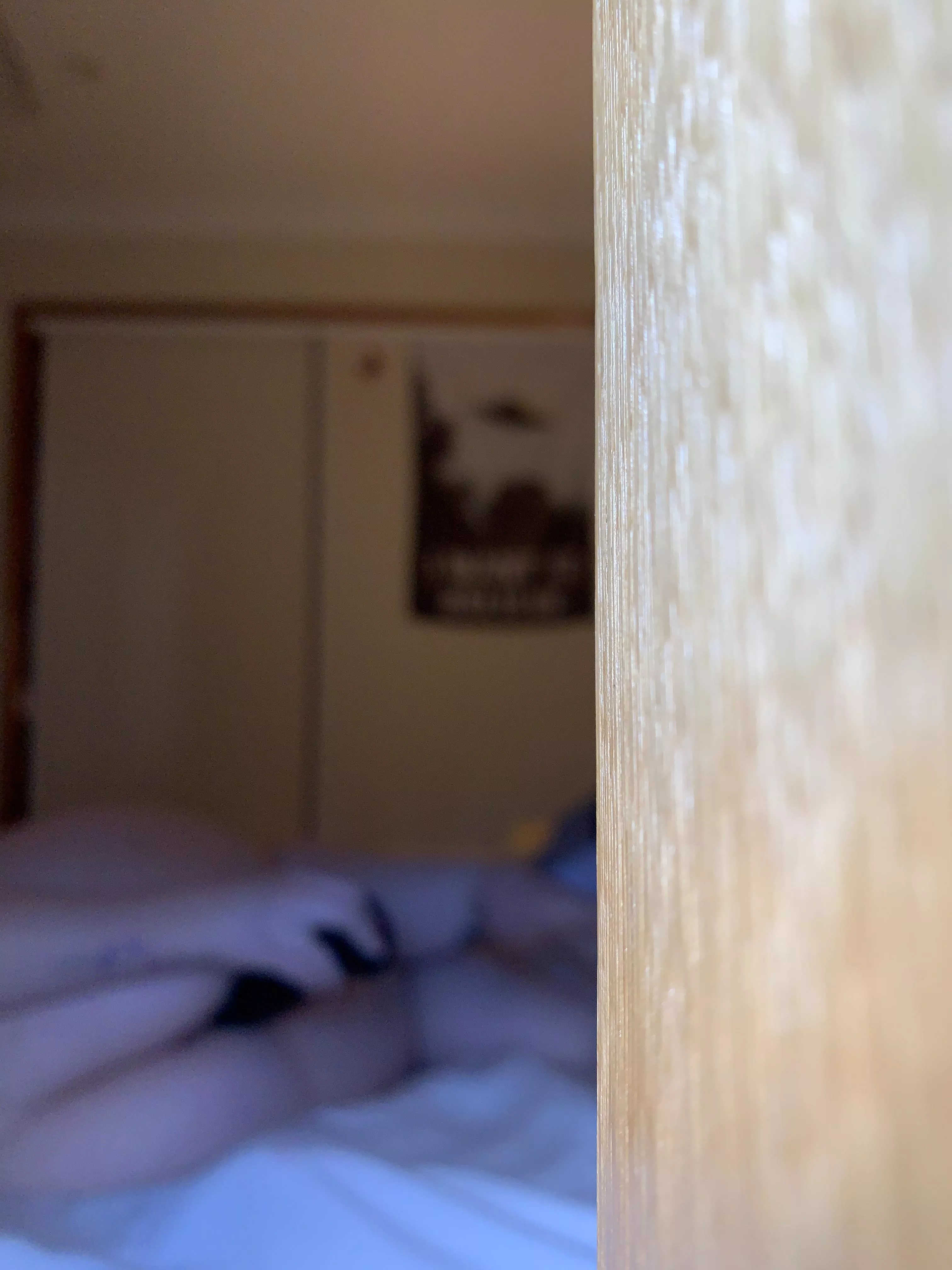 Accidentally took a pretty good photo for reddit…