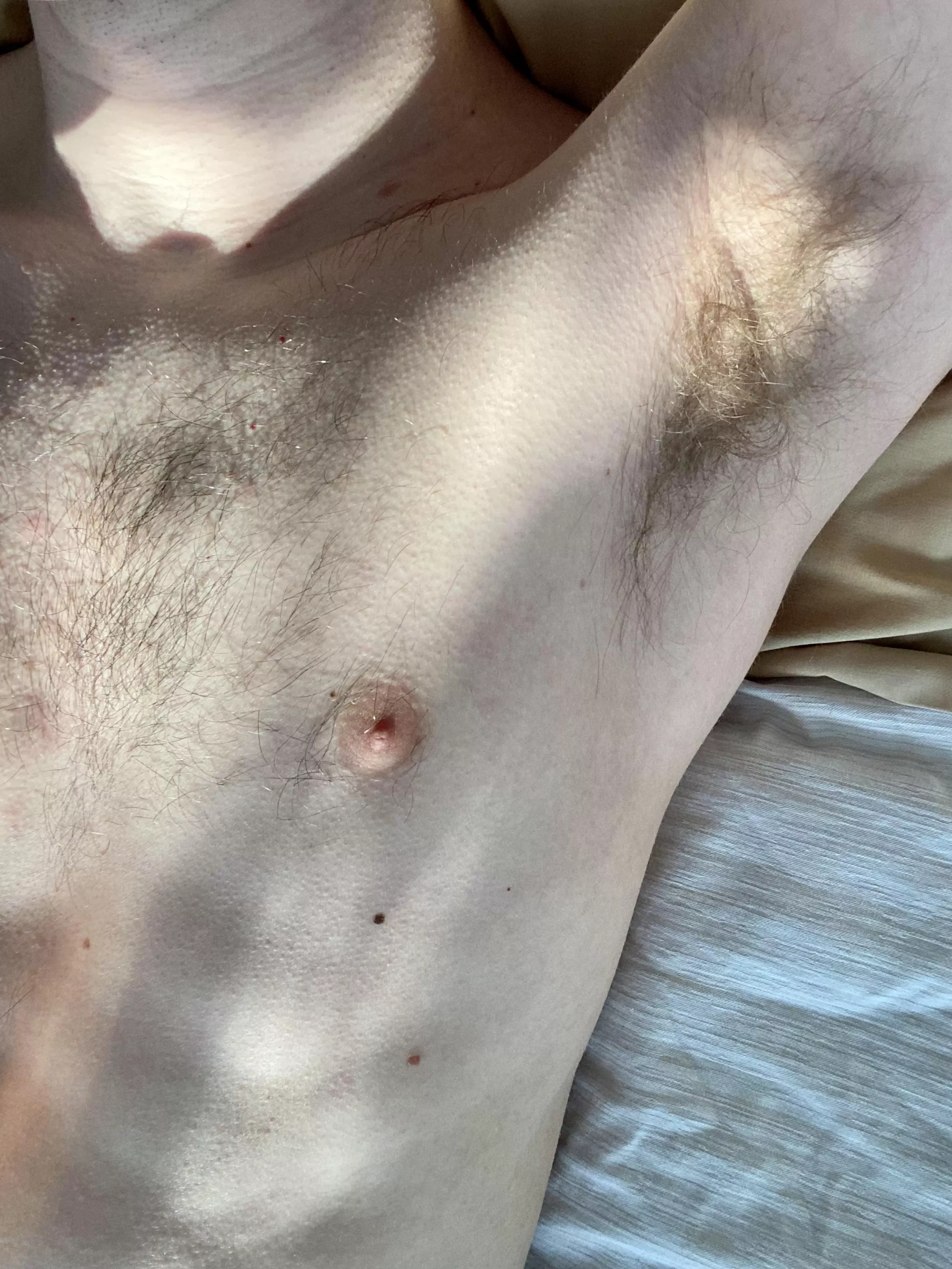 afternoon musk in the afternoon light