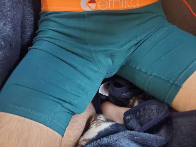 Afternoon snack? Afternoon snack?