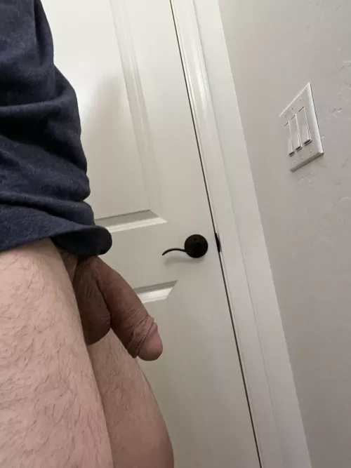 Afternoon softie