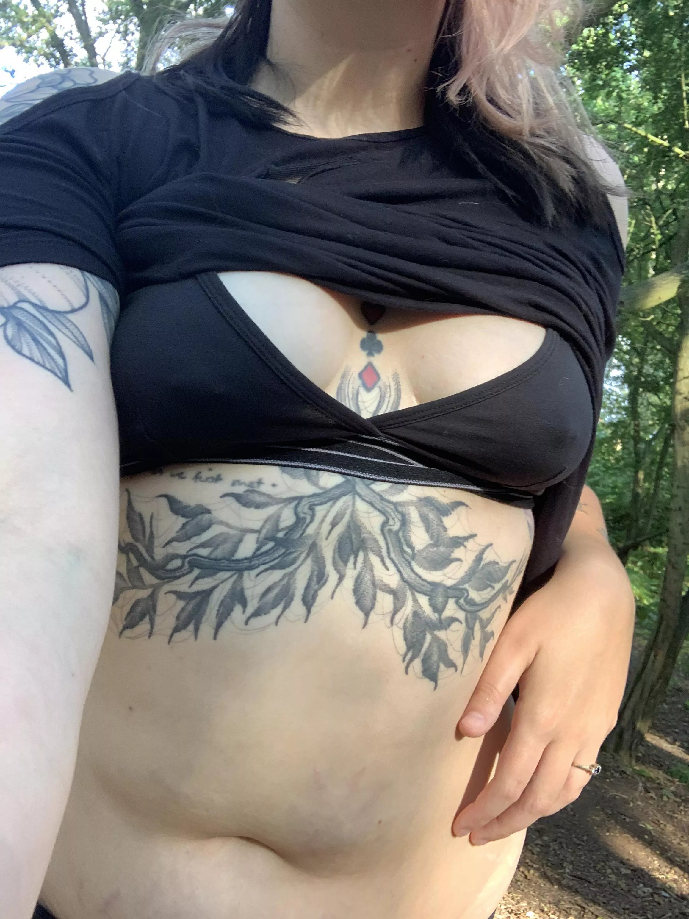 Afternoon walk in the woods Afternoon walk in the woods