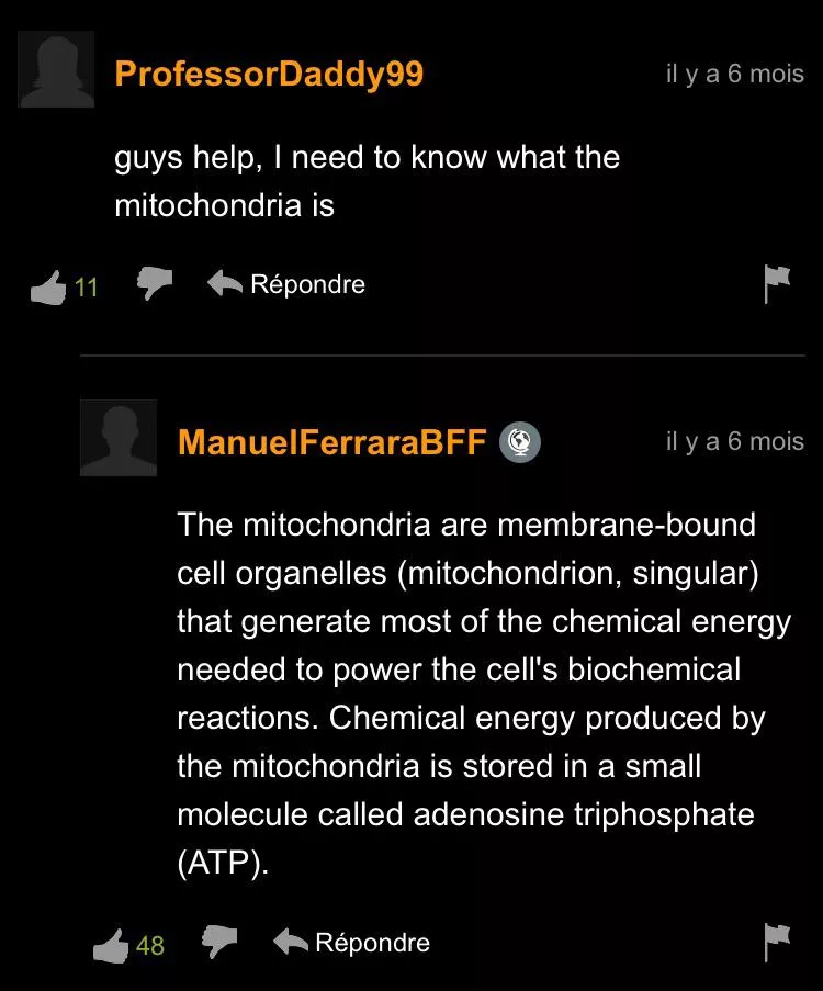 Ah yes, pornhub; the educatory online classroom. Ah yes, pornhub; the educatory online classroom.