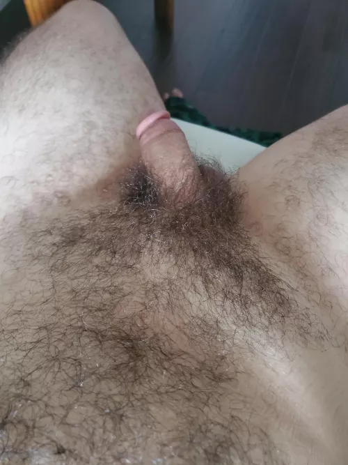 Airing out this morning