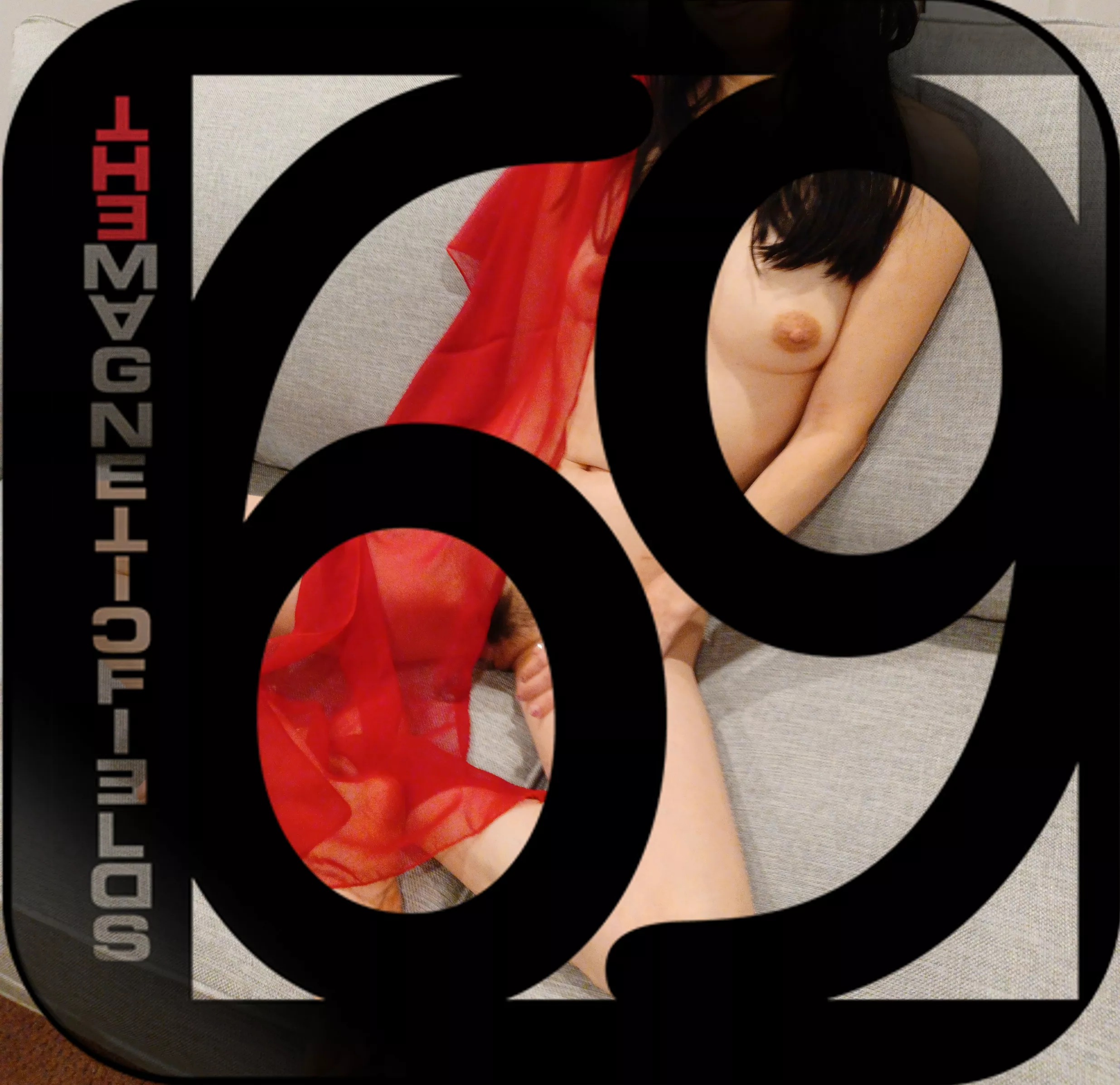 Album Art The Magnetic Fields 69 (F) [OC]