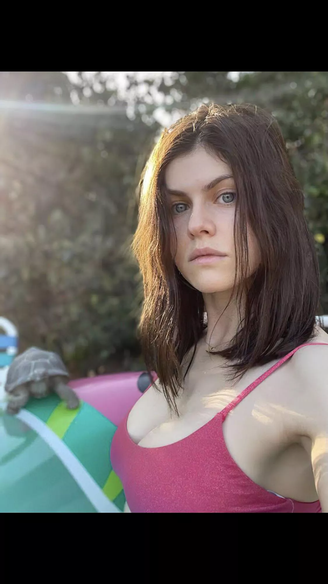 Alexandra Daddario Alexandra Daddario