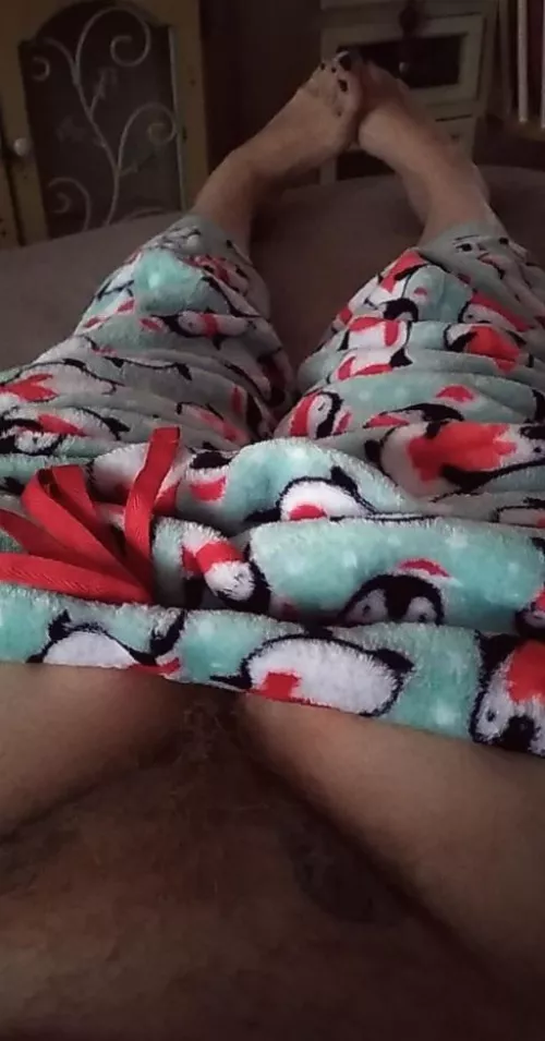 All I want for Xmas is your face in my bush All I want for Xmas is your face in my bush