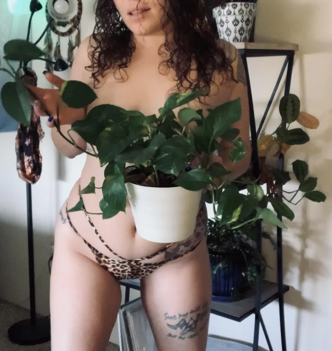 All natural curls, curves, plants... 🔥🤤 All natural curls, curves, plants... 🔥🤤