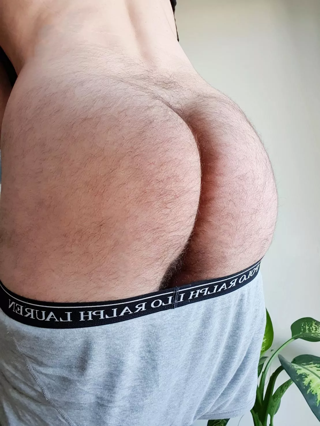 Hairy Bubble Butts