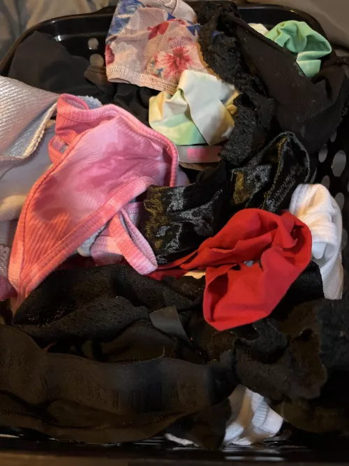 All these panties and no one to talk to about them