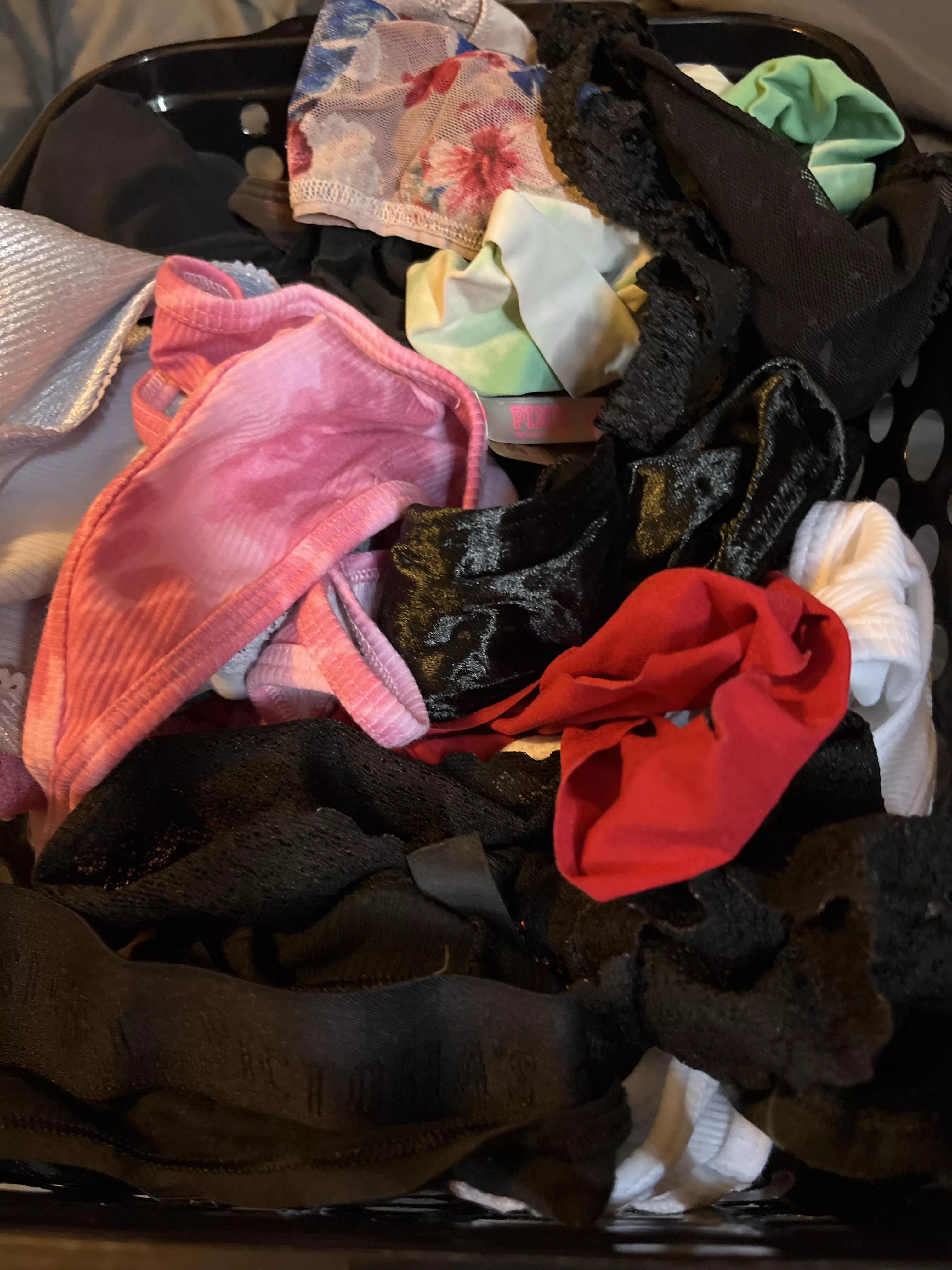All these panties and no one to talk to about them