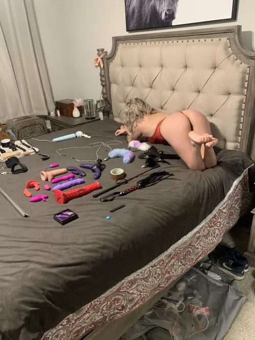 All these toys and all he wants to use is the whip… [F]