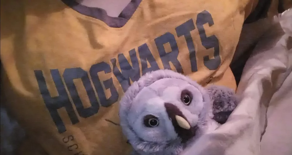 All tucked in! 🦡💛🖤💛🖤🦡