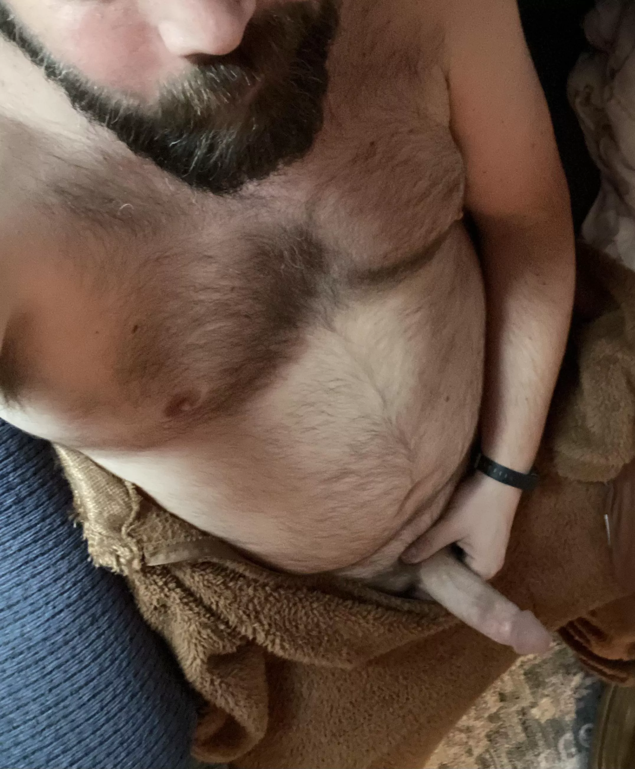 All warm and snuggly. Who wants to come join me?