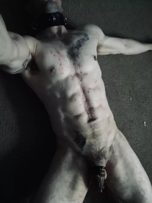 All waxed up with nowhere to go... All waxed up with nowhere to go...