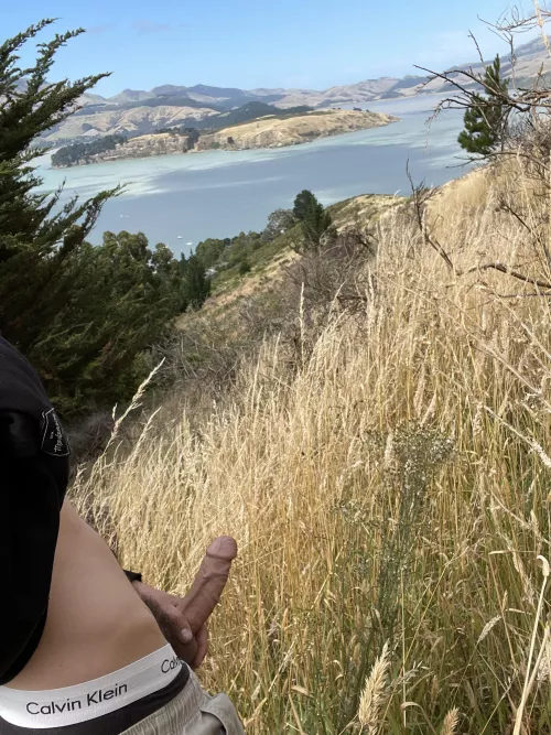 Almost to the top of this mounting