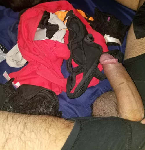 Alone with all these panties!