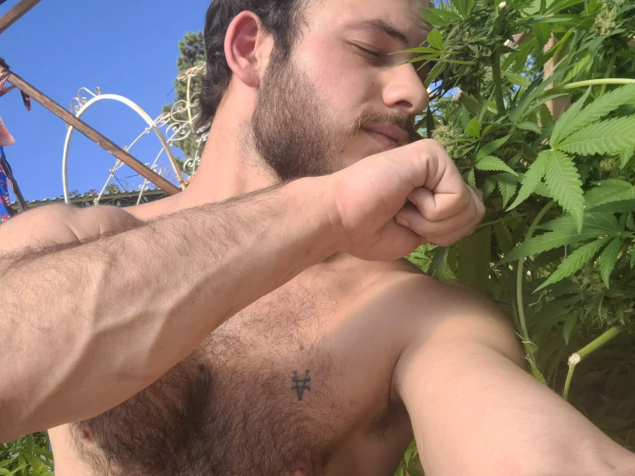 Always got time to stop and smell the flowers??