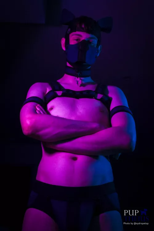 Am I a alpha pup now? 🥺