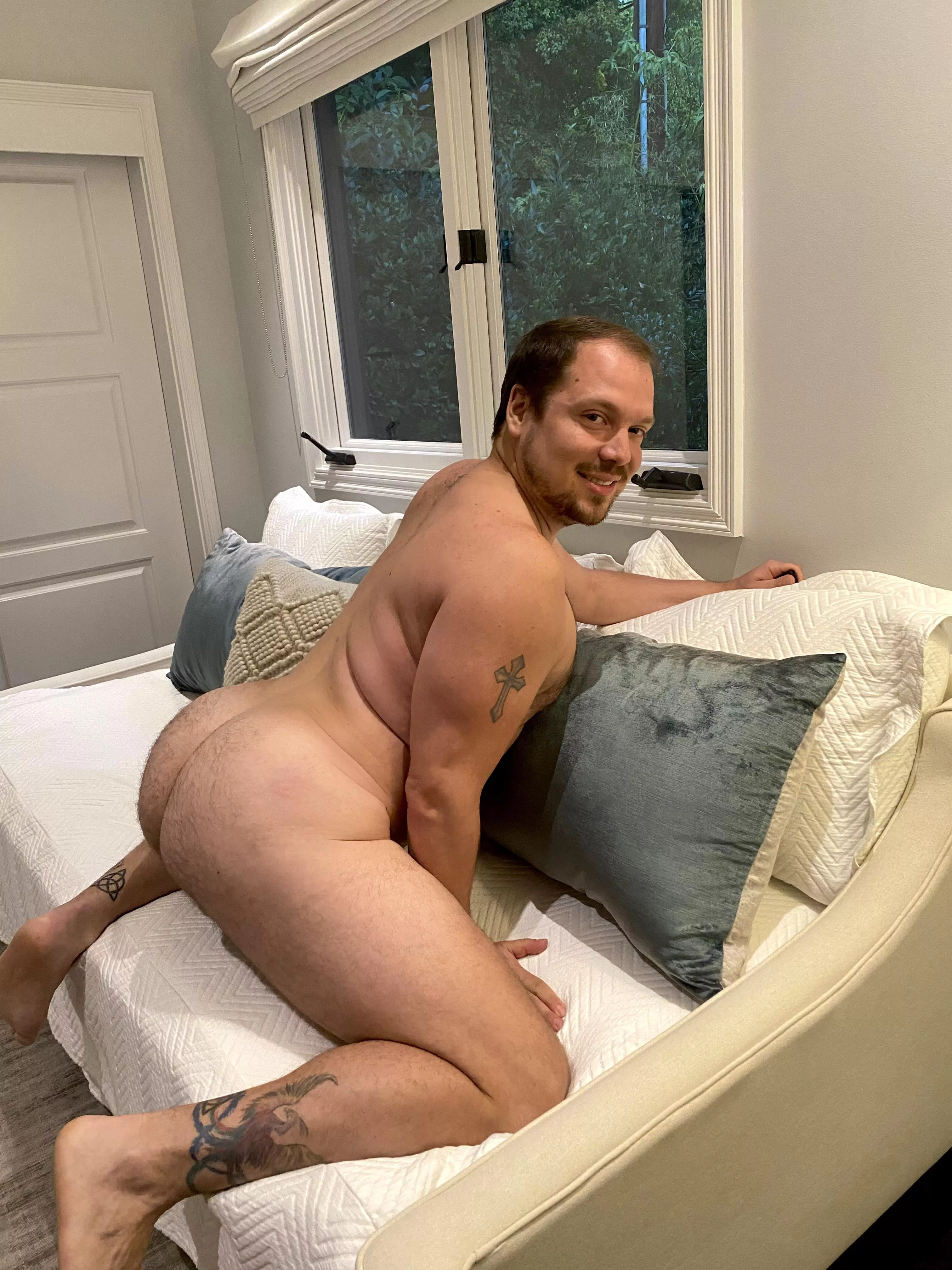 Am I cub or bear? π Am I cub or bear? π