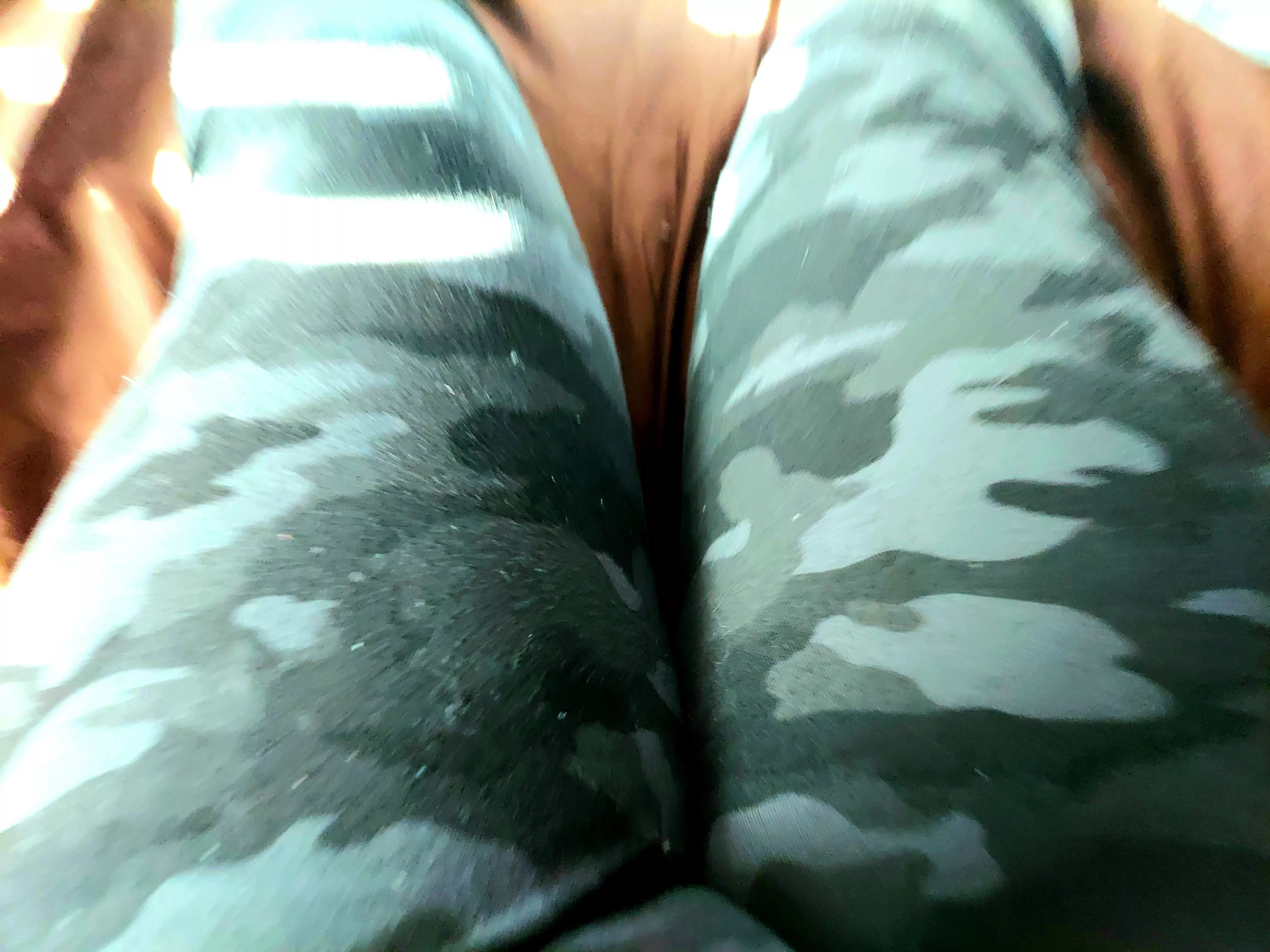 Am I cute? Am I cute?