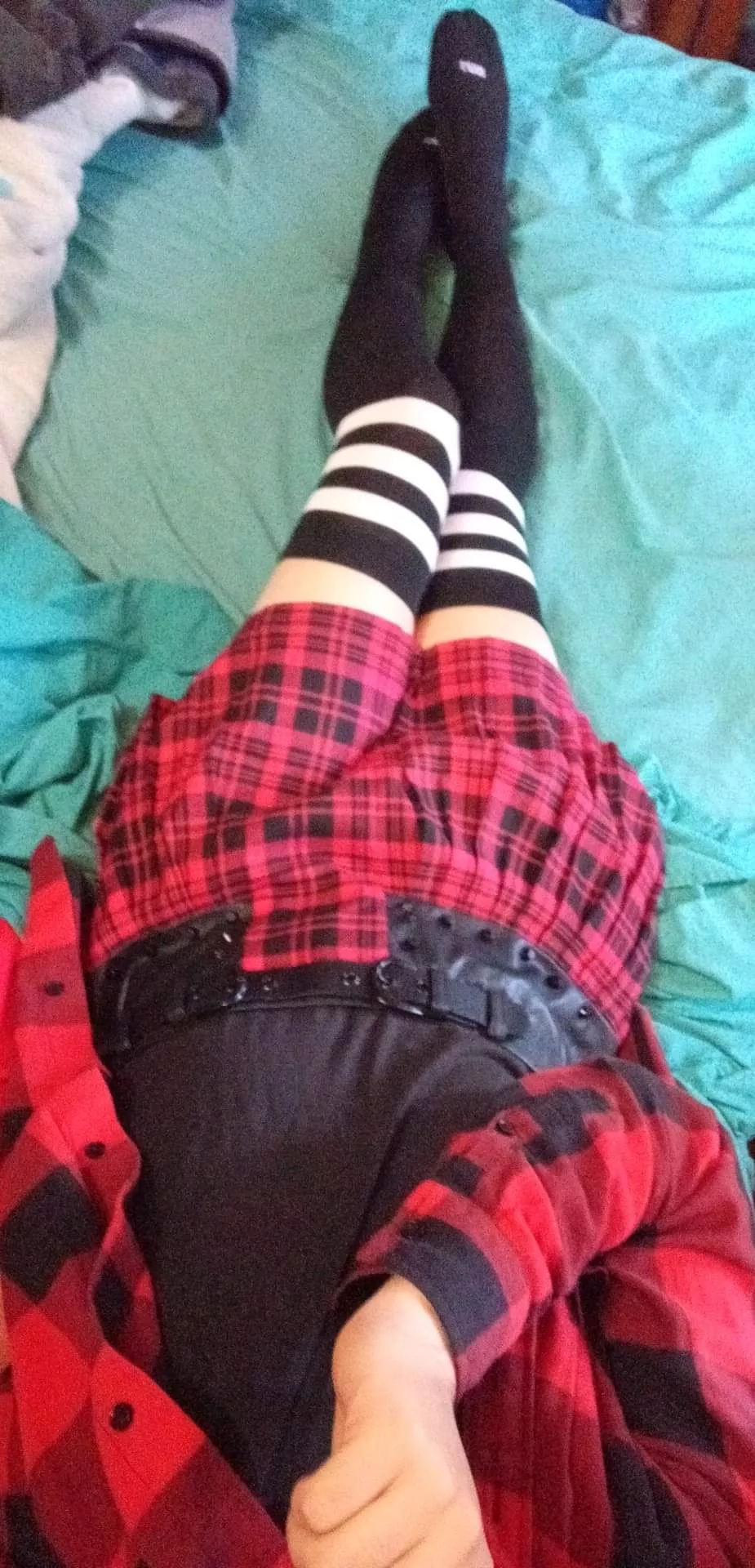 Am I cute? Am I cute?