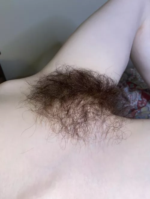 Am I hairy enough for you? Am I hairy enough for you?
