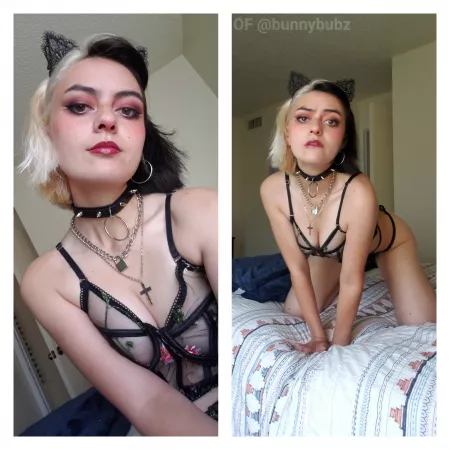 am i kitten enough for you ??