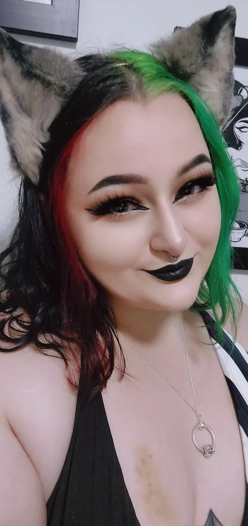 Am the goodest girl take me on walkies pls 🐺🐺