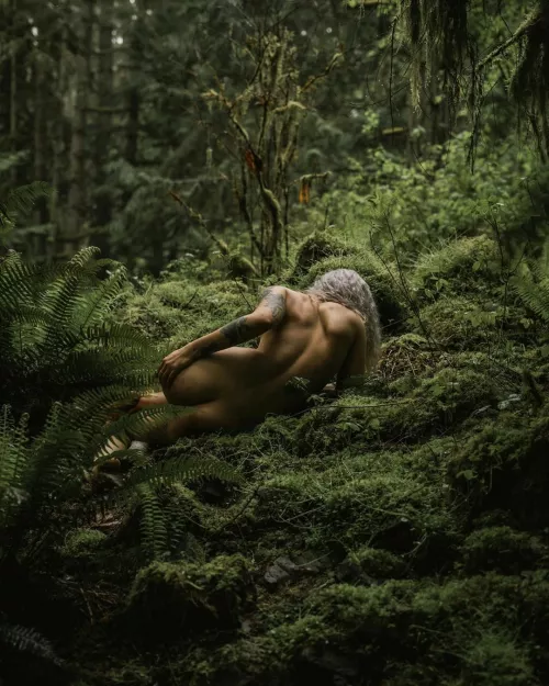 Among The Ferns