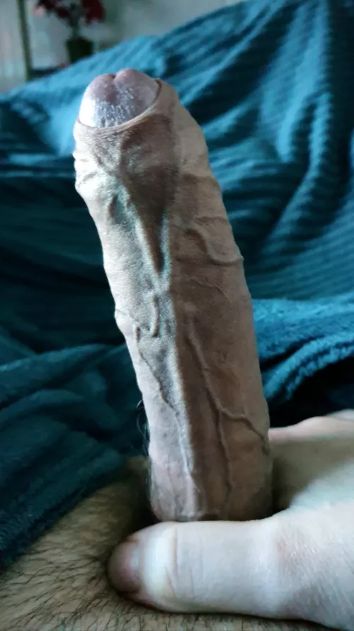 An interesting title