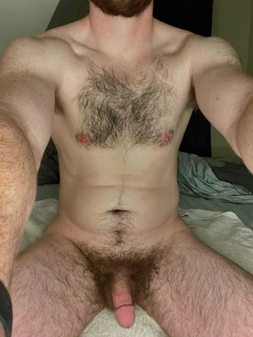 An otter that really loves his bears š