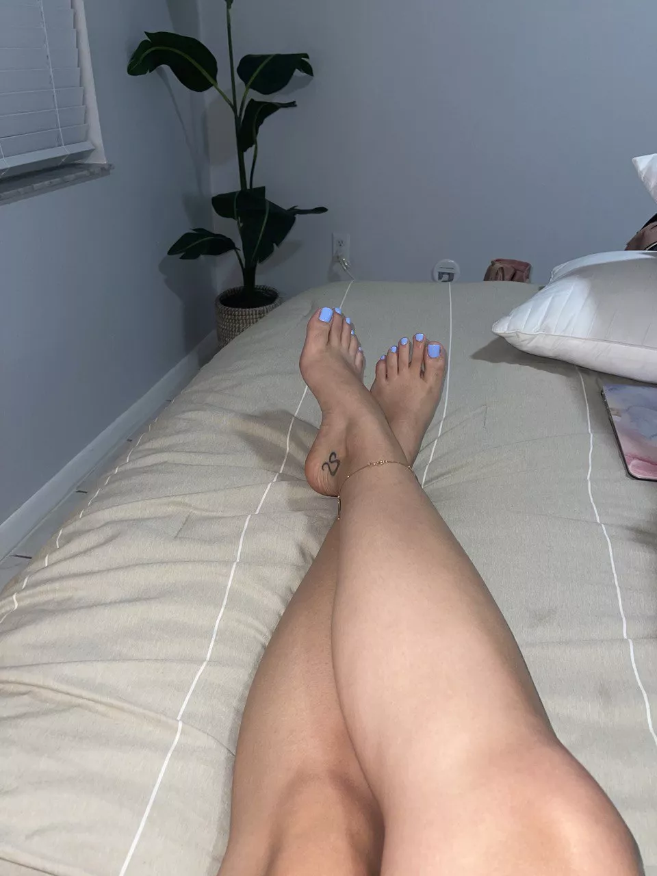 And blue wins!! How do they look? Would you lick? And blue wins!! How do they look? Would you lick?