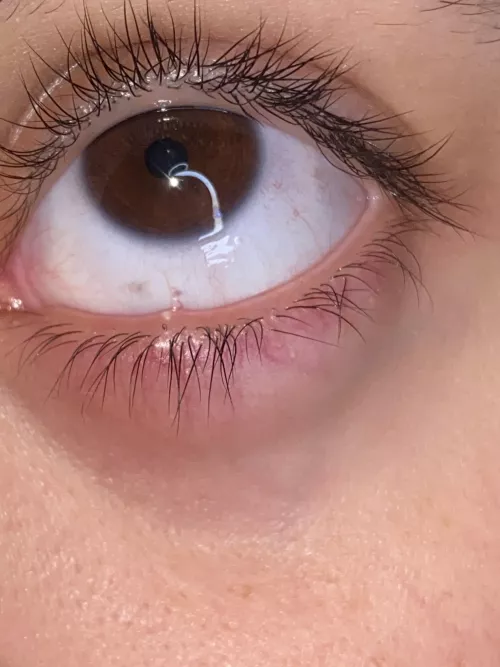 and we present the forbidden pop 😭 this stye sucks and my face is killing! 😭