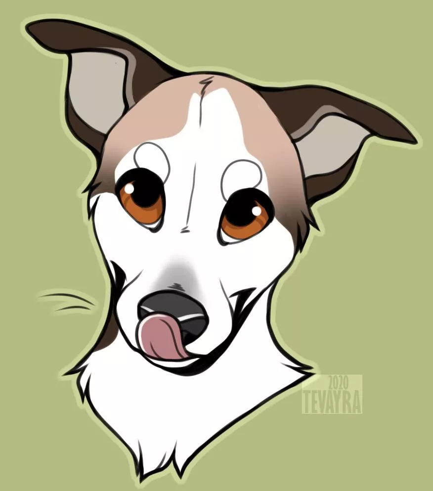 Another cute dog from me, 'cause why not!