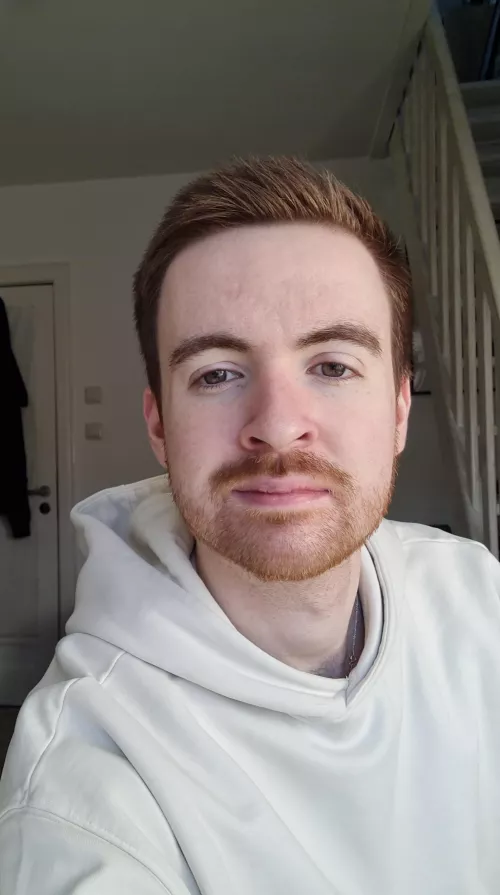 Another day of home office | M24 from Germany Another day of home office | M24 from Germany