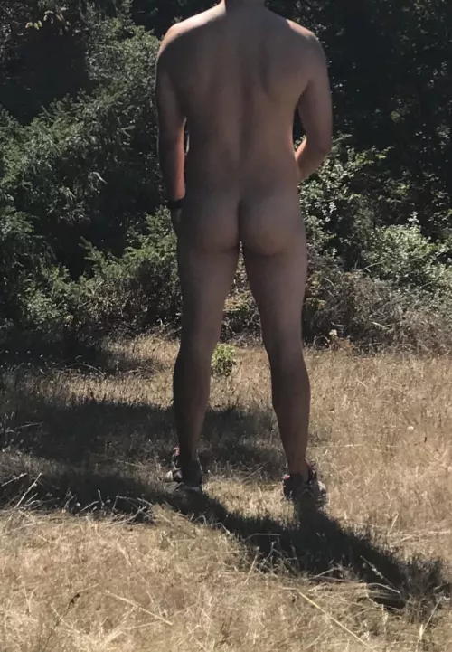 Another nice Bay Area hike