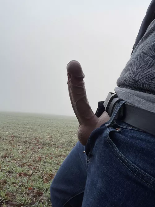 Another pic from this morning