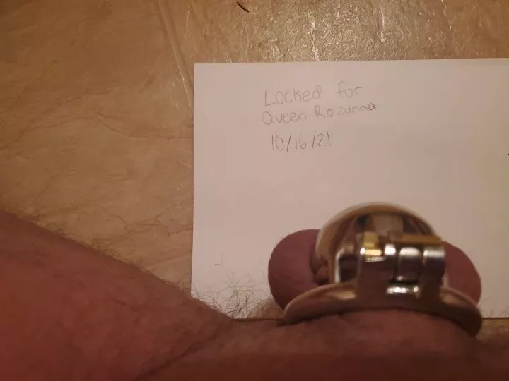 another white boi locked for me another white boi locked for me